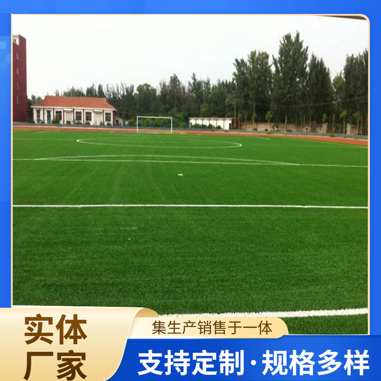 乌兰察布市学校塑胶跑道人造草坪 - 一站式服务